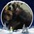 Dee Johns's profile image