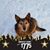 Thomas Sattler's profile image