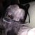 Jessica Nation's profile image