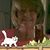 Deb Hilgeman Fox's profile image