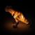 Robin Hatala's profile image