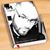 Stefano Isaac Lomeli's profile image