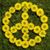 Dottie Waugh's profile image