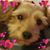 Wendy Chladni's profile image