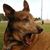 Maureen Carmona's profile image