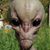 Dale Crump's profile image