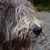 Penny Jones's profile image
