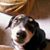 Cles Holbrook's profile image