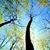 Joe's Tree Service Inc.'s profile image