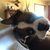 Cheryl Wilbanks's profile image