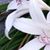 Deidre Foote's profile image
