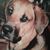 Dale Abbott's profile image