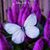 Ana Quintanilla's profile image