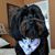 Pauline Michels's profile image