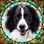 Karen Mansfield's profile image