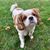 Julie Davis-Jaffe's profile image