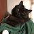 Marjie Becker's profile image