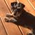 Marie Guidry's profile image