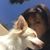 Stephanie Jackson's profile image