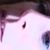 Tracy Elisabeth Marina's profile image