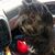 Chris Huffman's profile image