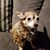 Shauna Nacy-Miller's profile image