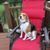 Gail Andrea Hartford's profile image
