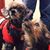 Jan Glover's profile image