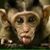 Bob Keyte's profile image
