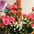 Conni Catlow's profile image