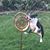 Jen Troxel's profile image