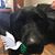 Annemarie Winslow's profile image