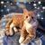 Tammy Wielhouwer Tobin's profile image