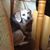 Tammy Payne's profile image
