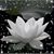 Heather Fausnaugh's profile image
