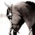 Renee Rupnow's profile image