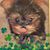 Melissa Tobin's profile image