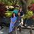 Joanne Sherstein's profile image