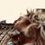 Abby Davis's profile image