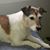 Sally Johnson Hope's profile image