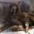Richard Begley's profile image