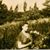 Joanne Rowe Gearns's profile image