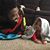 Darrelle Lawrence Scales's profile image