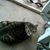 Nora Willey's profile image