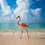 Cheri McGinnis's profile image