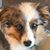 Judee Tompkins's profile image