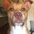 Brandon Southard's profile image