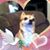 Wanda Crawford's profile image