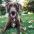 Angie Saxton-Bowen's profile image