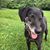 Jenny Schukai Fletcher's profile image